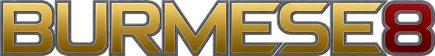 burmese8